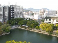 IMG_3290.JPG